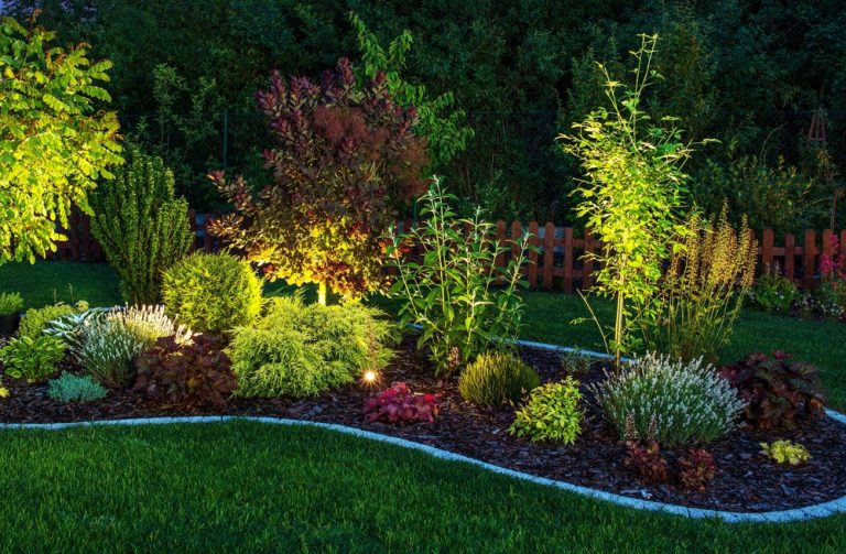 Landscape Design Experts